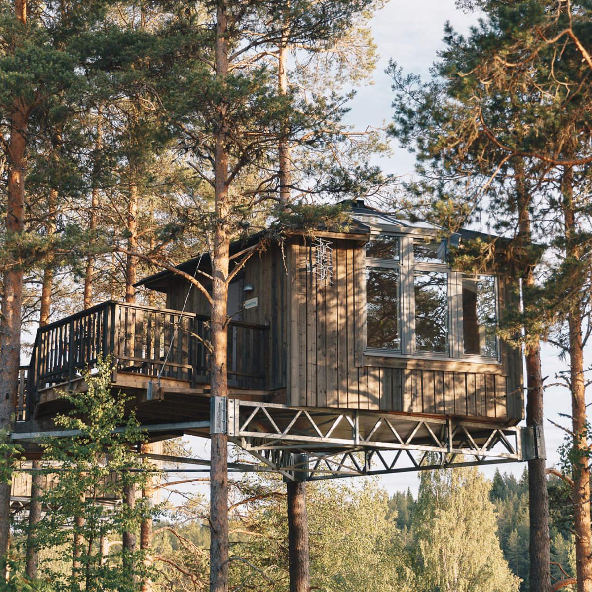 A cabin high up in the trees, surrounded by green leafs. 