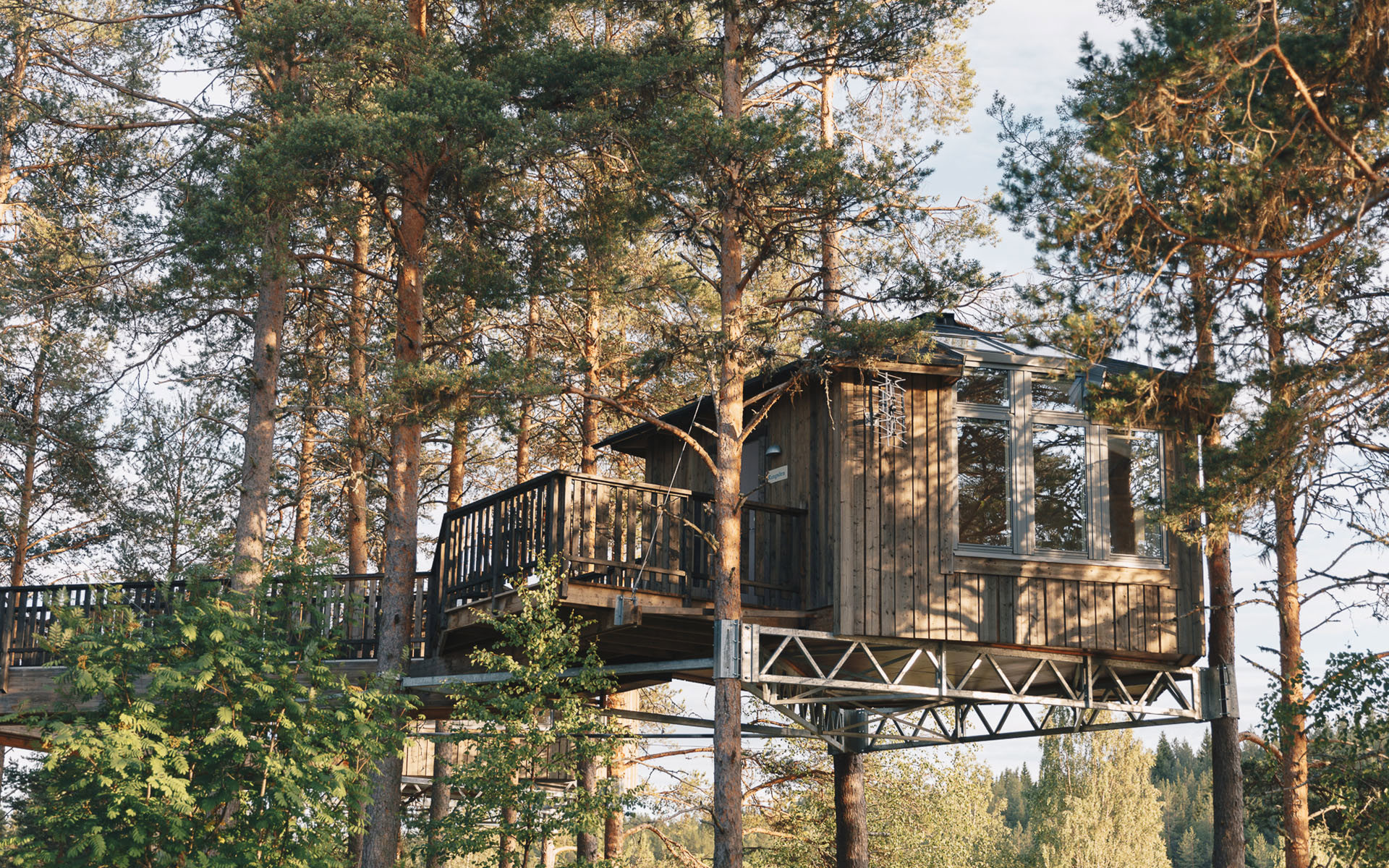 A cabin high up in the trees, surrounded by green leafs. 