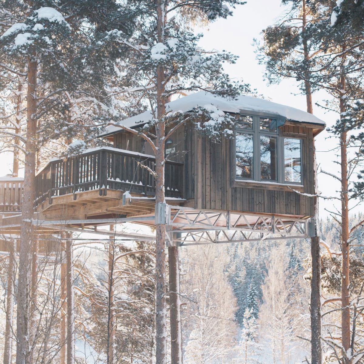 A cabin mounted hight up in some pine trees. 