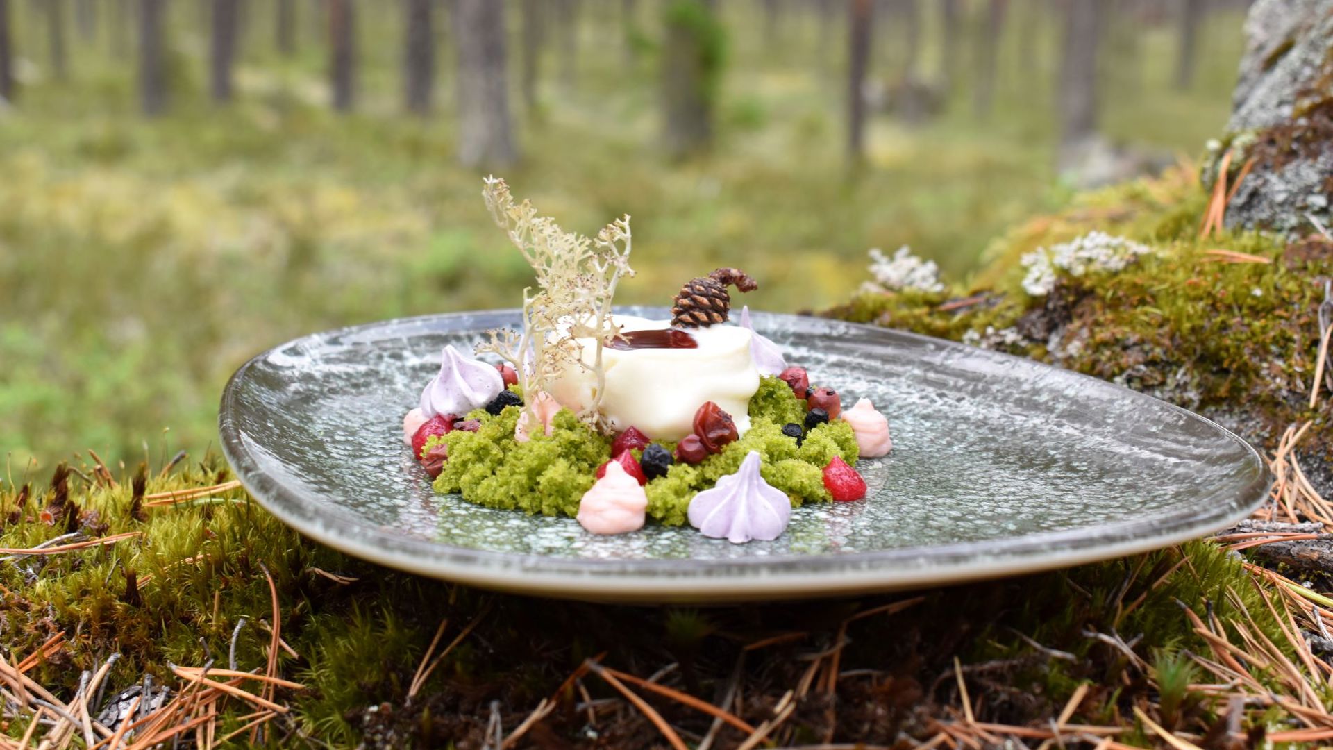 Restaurant Wild River. Foto: Wild River A plate placed in a forest with a dish om it looking like forest.